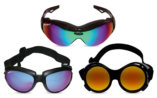 Walter safety glasses and sealed goggles with mirrored and shaded lenses
